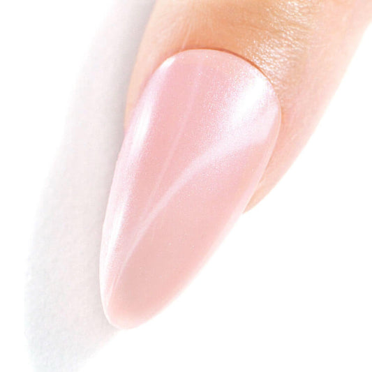 LeChat Perfect Match 3in1 Powders Pro Biscotti - #PROP105 LeChat