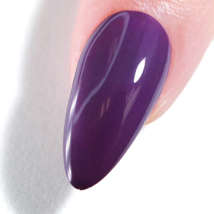 LeChat Perfect Match 3in1 Powders Pro Concord Grape - #PROP159 LeChat