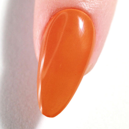 LeChat Perfect Match 3in1 Powders Pro Foxtrot - #PROP148 LeChat