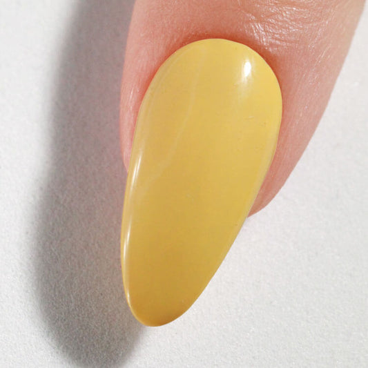 LeChat Perfect Match 3in1 Powders Pro Queen Bee - #PROP152 LeChat