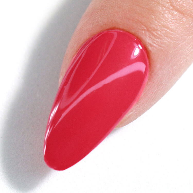 LeChat Perfect Match 3in1 Powders Pro Watermelon - #PROP143 LeChat